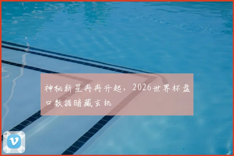 神秘新星冉冉升起，2026世界杯盘口数据暗藏玄机