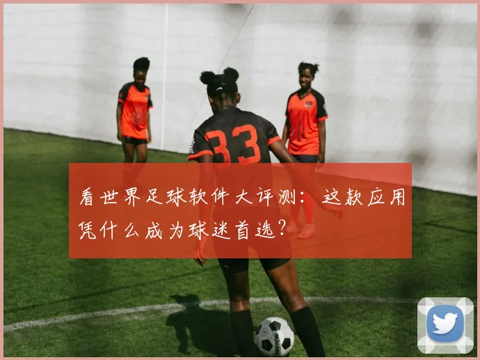 看世界足球软件大评测：这款应用凭什么成为球迷首选？